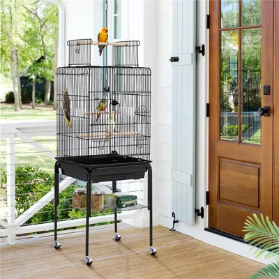 Cage à Perruches En Métal Avec Support Roulant, Étagère De Rangement