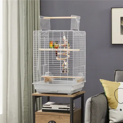 Yaheetech Cage à Oiseaux Décorative en Métal
