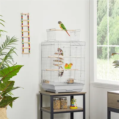 Yaheetech Cage à Oiseaux Décorative en Métal
