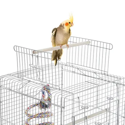 Yaheetech Cage à Oiseaux Décorative en Métal