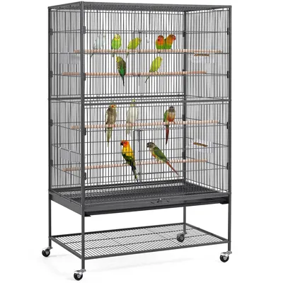Grande Cage à Oiseaux Sur Pied Forgé Avec Étagère De Rangement