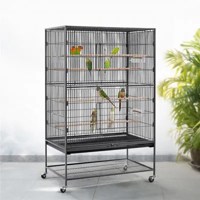 Grande Cage à Oiseaux Sur Pied Forgé Avec Étagère De Rangement