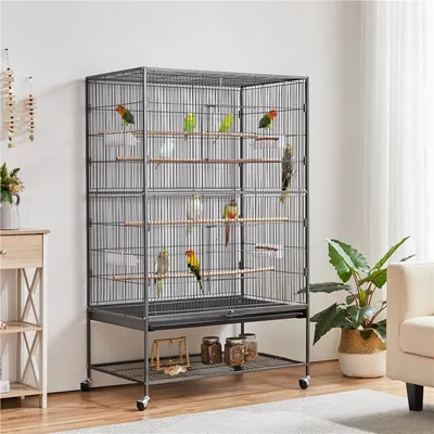 Grande Cage à Oiseaux Sur Pied Forgé Avec Étagère De Rangement