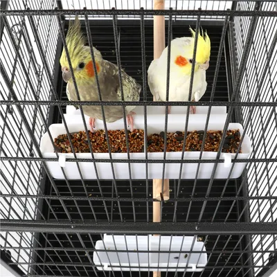 Yaheetech Grande Cage à Oiseaux sur Pied