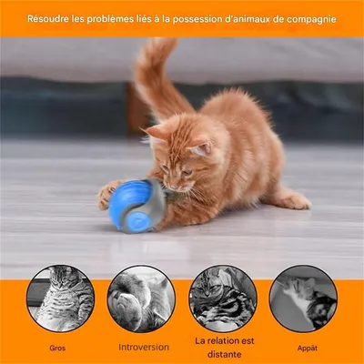 IntiMeg Pompe de fontaine pour animaux de compagnie