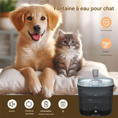 Fontaine d'eau automatique IntiMeg