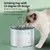 ZenPets Boîte à eau pour chats intelligente et silencieuse