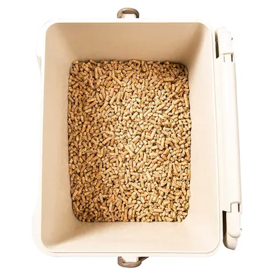 ArtPlast Récipient avec couvercle et poignée en plastique