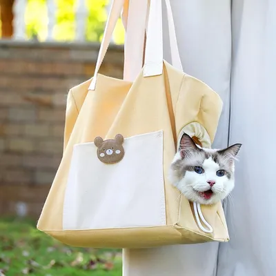 IntiMeg Sac de voyage pour chat