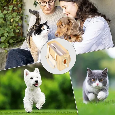 IntiMeg Sac de voyage pour chat