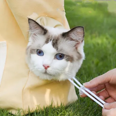IntiMeg Sac de voyage pour chat