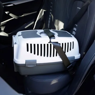 WELLHOME Transporteur portatif en plastique pour animaux de compagnie