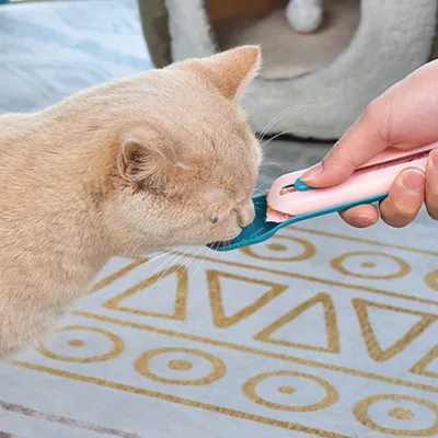 ZenPets Pelle à friandises pour chat