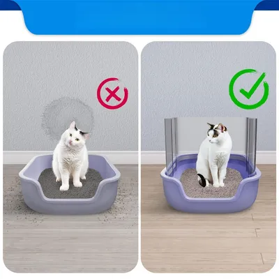 IntiMeg Panneaux anti-projection pour bac à sable pour chat