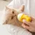 ZenPets Bouteille à lait pour chat et chien