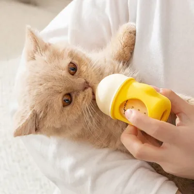 ZenPets Bouteille à lait pour chat et chien