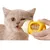 ZenPets Bouteille à lait pour chat et chien