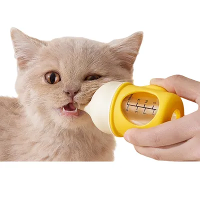 ZenPets Bouteille à lait pour chat et chien