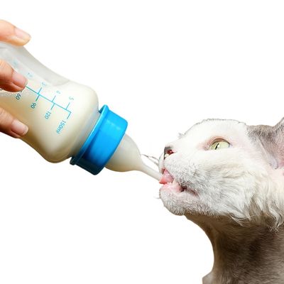ZenPets Bouteille à nourrir pour chatons