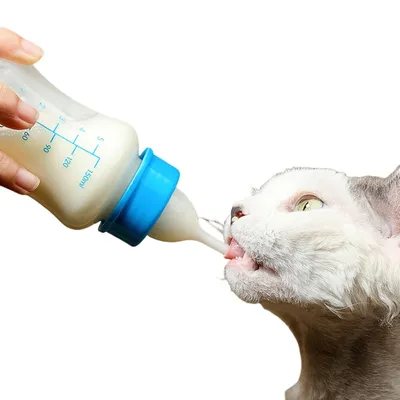 ZenPets Bouteille à nourrir pour chatons