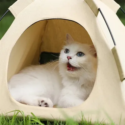 IntiMeg Tente pour animaux de compagnie