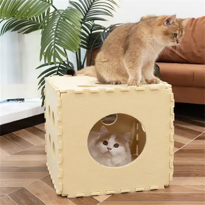 ZenPets Nid pour chats en forme de dé