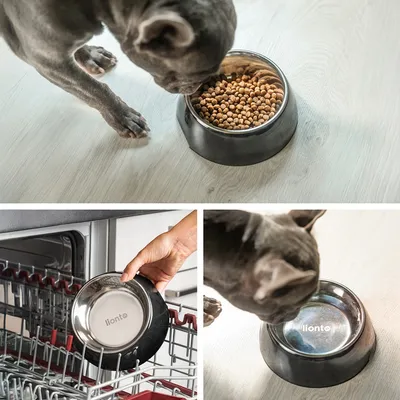 lionto gamelle chien Melamin antidérapante avec bol inox amovible lionto gamelle chien Melamin antidérapante avec bol inox amovible