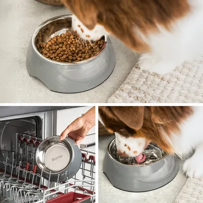 lionto gamelle chien Melamin antidérapante avec bol inox amovible lionto gamelle chien Melamin antidérapante avec bol inox amovible