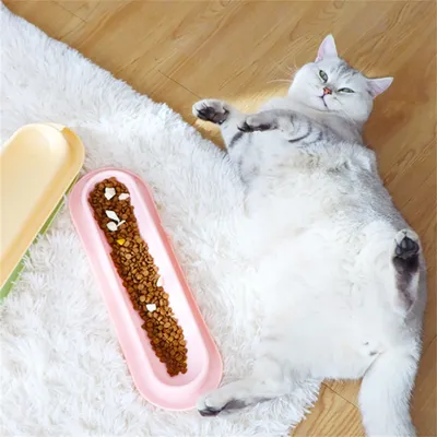 IntiMeg Bol d'alimentation pour chat