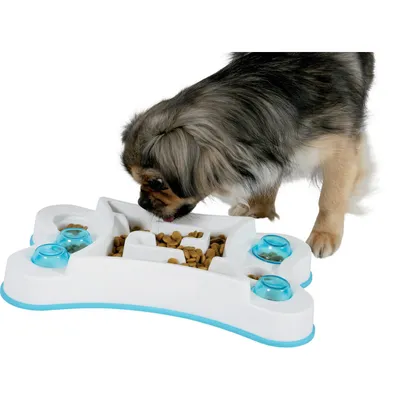 zolux - Ecuelle anti-glouton rectangle, 32 x 19.5 x 5.5 cm pour chien