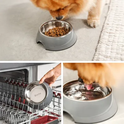 lionto gamelle chien Melamin antidérapante avec bol inox amovible