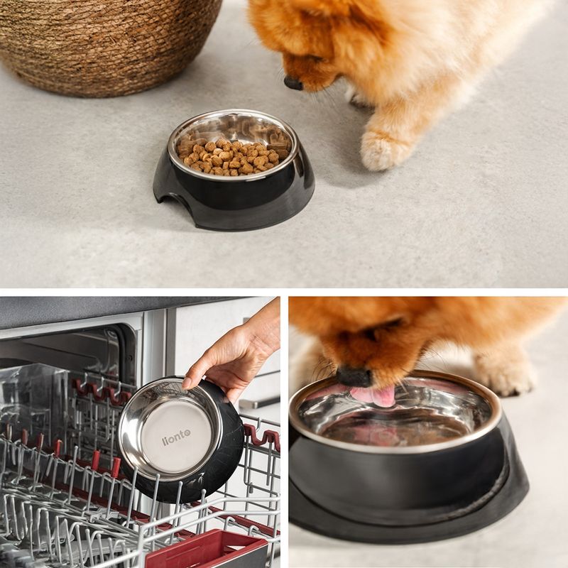 lionto gamelle chien Melamin antidérapante avec bol inox amovible