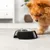 lionto gamelle chien Melamin antidérapante avec bol inox amovible lionto gamelle chien Melamin antidérapante avec bol inox amovible