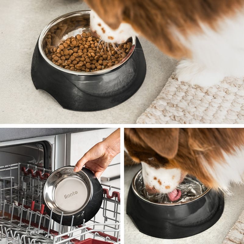 lionto gamelle chien Melamin antidérapante avec bol inox amovible