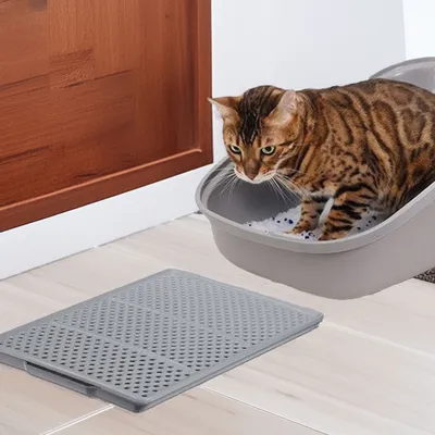 WELLHOME Bac de récupération de sable en polypropylène