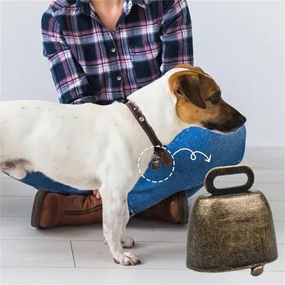 IntiMeg 4 Cloches pour animaux de compagnie IntiMeg 4 Cloches pour animaux de compagnie