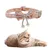 ZenPets Collier ruban & dentelle pour chat ZenPets Collier ruban & dentelle pour chat