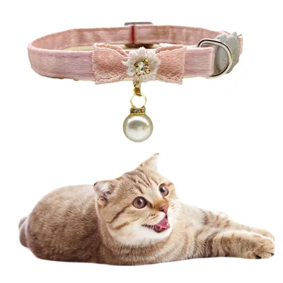 ZenPetsCollier décoratif pour chat
