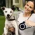 WELLHOME Laisse extensible en nylon pour animaux de compagnie