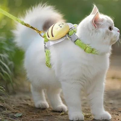 ZenPets Harnais pour chat Bee