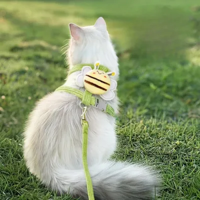 ZenPets Harnais pour chat Bee