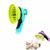 IntiMeg Pommeau de douche pour animaux de compagnie