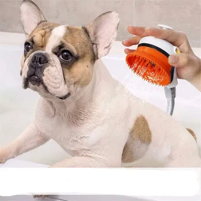 IntiMeg Pommeau de douche pour animaux de compagnie