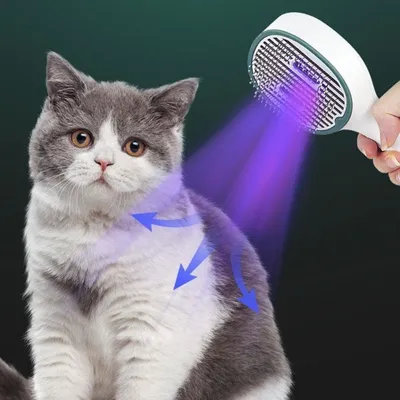 Intimeg Brosse de toilettage pour chat