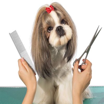 IntiMeg Peignes de toilettage pour animaux de compagnie 2 pièces