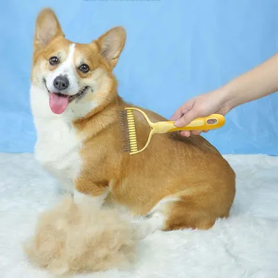 Peigne d'épilation pour animaux - Double peigne démêlant