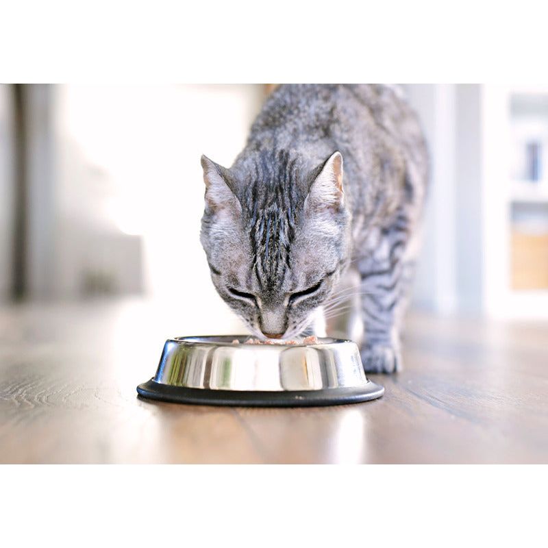 Felichef - Mousse Bio Sans Céréales à la Volaille pour Chat