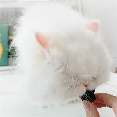 ZenPets Collations pour chats : lyophilisats de sang de lapin