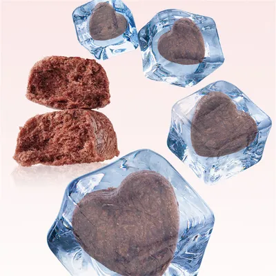 ZenPets Collations pour chats : lyophilisats de sang de lapin