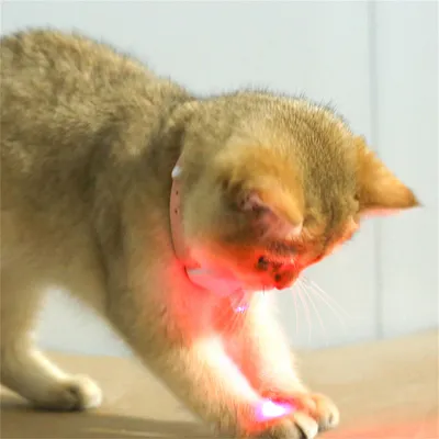 ZenPets Collier à laser pour chats